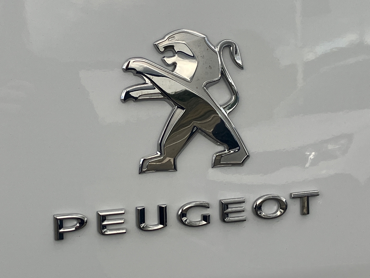 Peugeot Expert Van 45