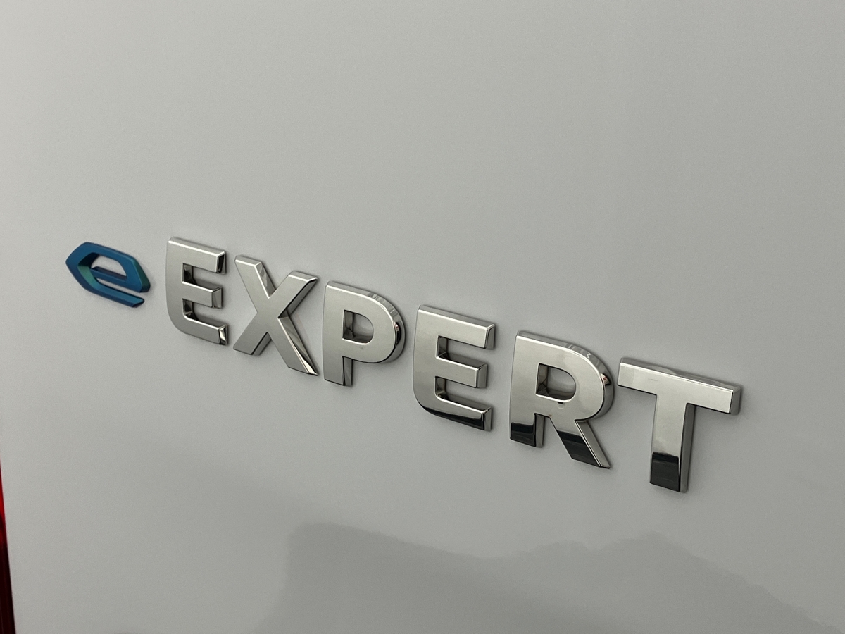 Peugeot Expert Panel Van 44