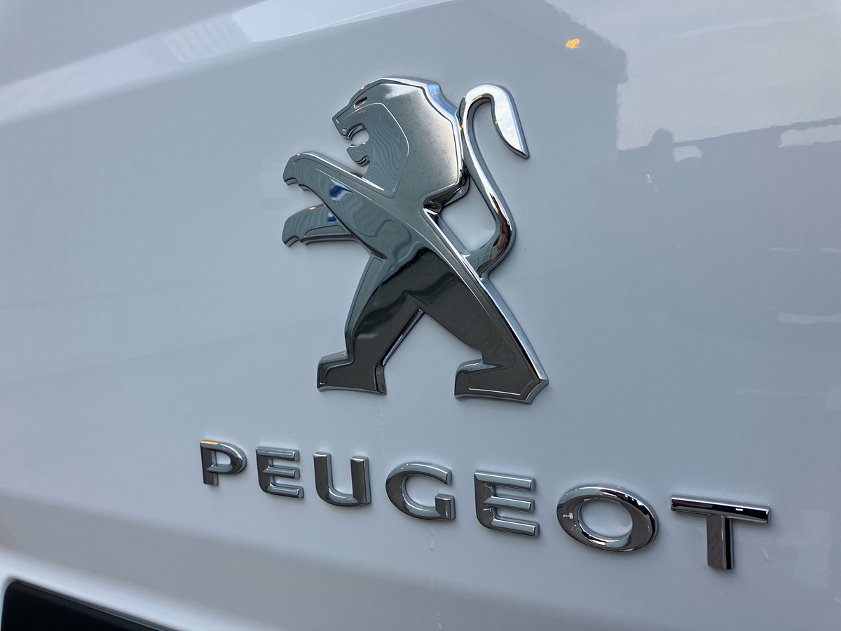 Peugeot Boxer Panel Van 31